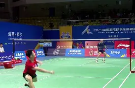 羽毛球夜战:庐州银狐队淘汰对手天山猎隼队,临门一脚致胜经验成为胜负手 羽毛球夜战:庐州银狐队淘汰对手天山猎隼队,临门一脚致胜经验成为胜负手